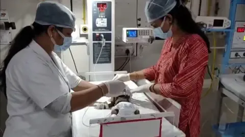Newborn Interred Living in India Battles for Survival